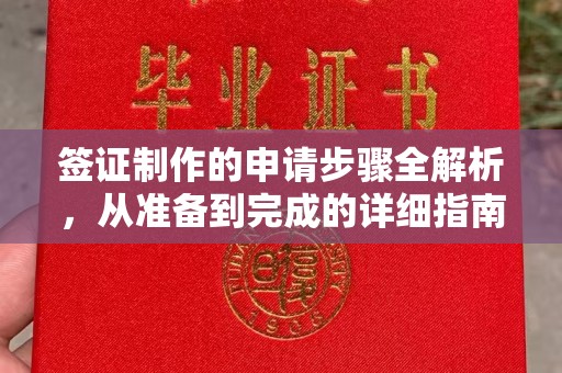 竹北签证制作的申请步骤全解析，从准备到完成的详细指南